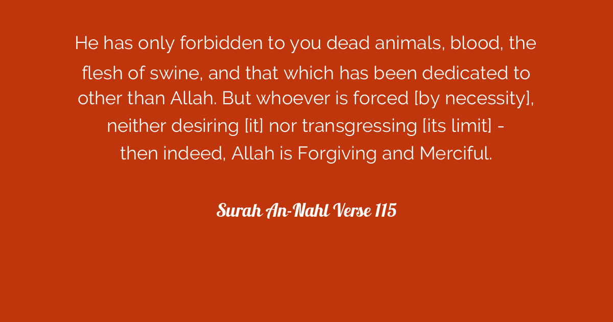Surah An Nahl Verse 115 Tafsirq Com