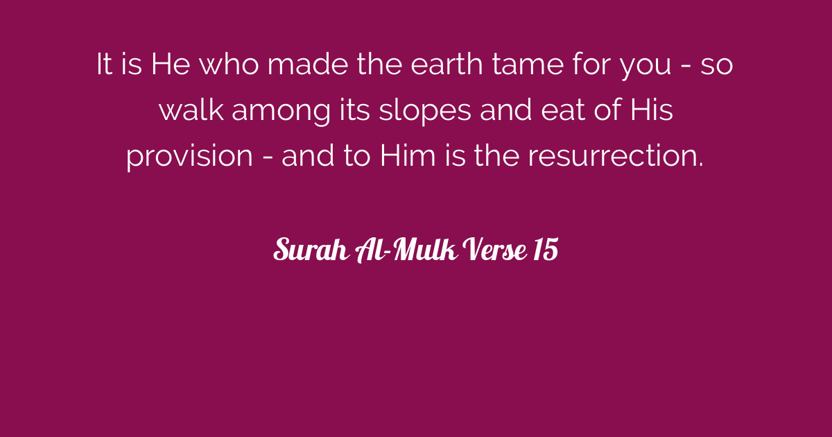 Download 87+ Contoh Surat Al Mulk Tafsirweb Terbaik Dan Terbaru
