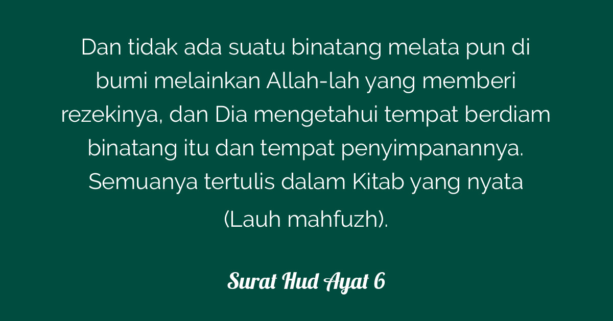 Download 86+ Contoh Surat Surat Hud Ayat 6 Gratis Terbaru