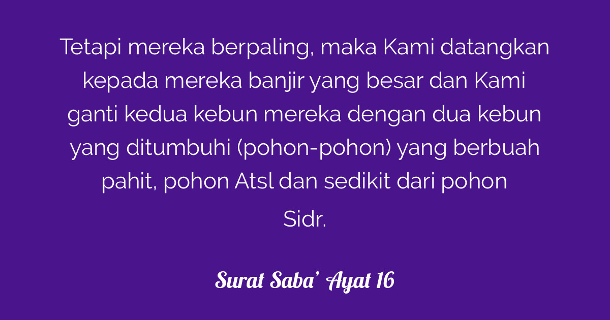 Inilah Surah Saba Ayat 16 