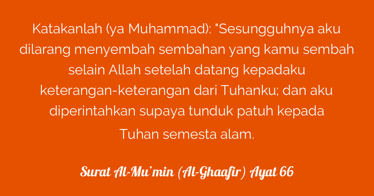 Porno kino yulduzlar