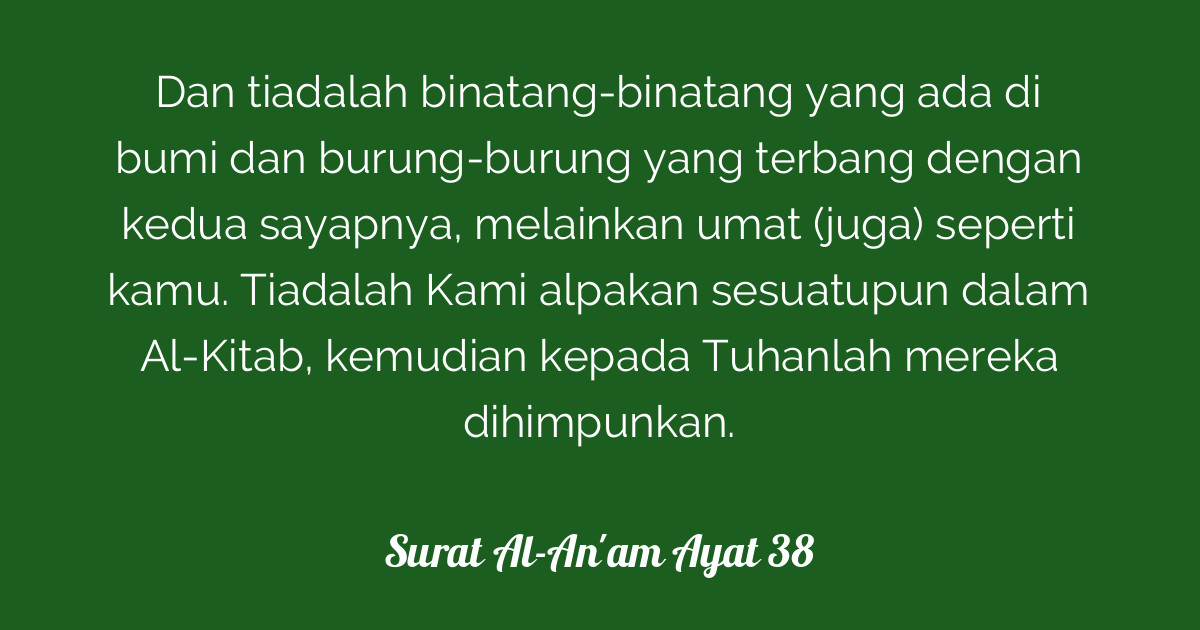 Katta rus eshak porno